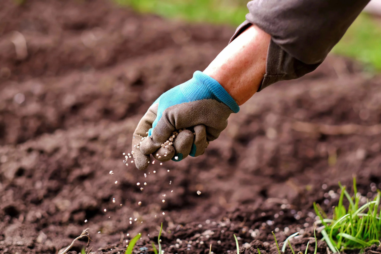 Quels engrais et fertilisants sont utilisés en agriculture bio