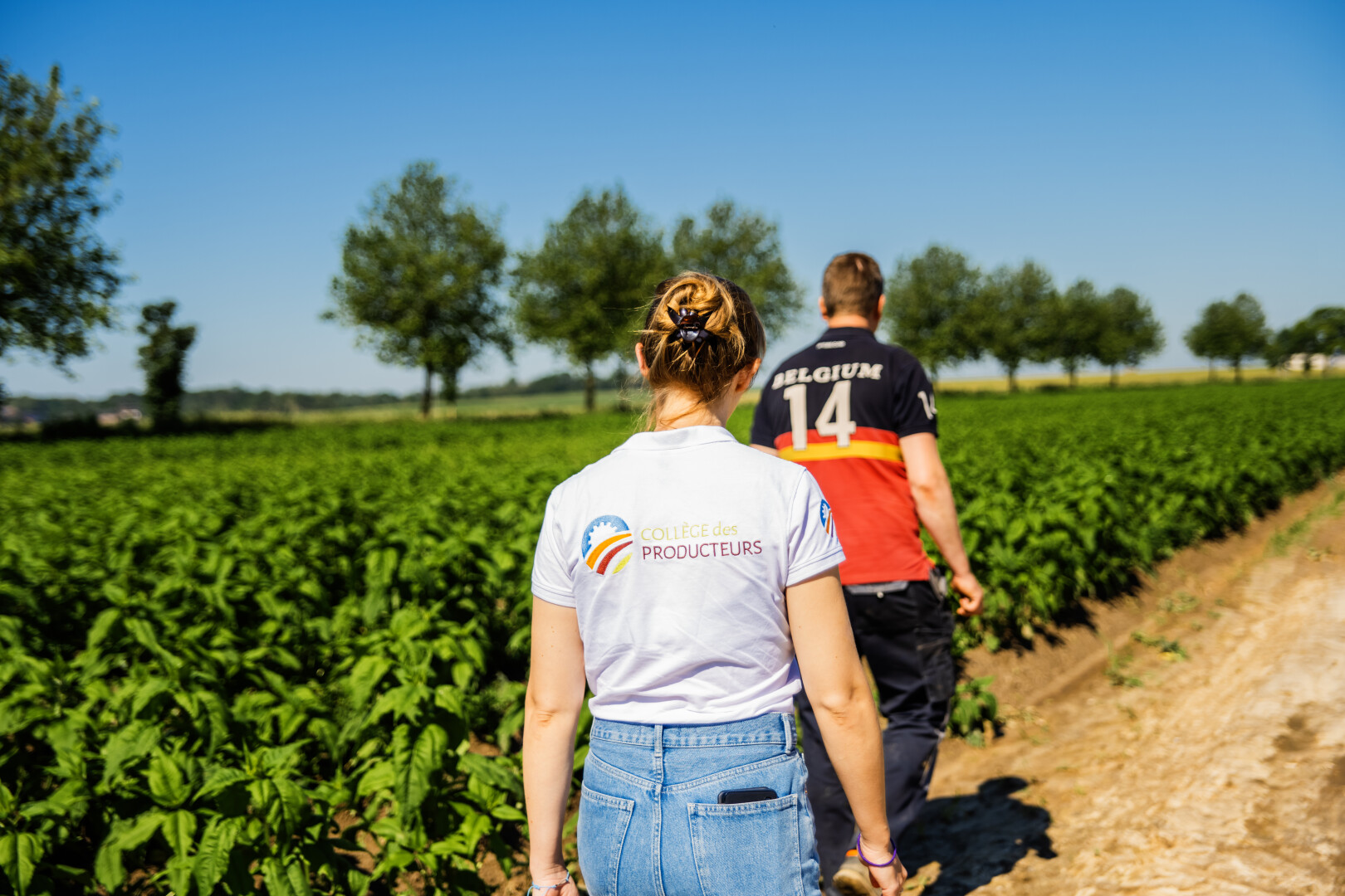 ff04dd947077c5c49454faf966e7